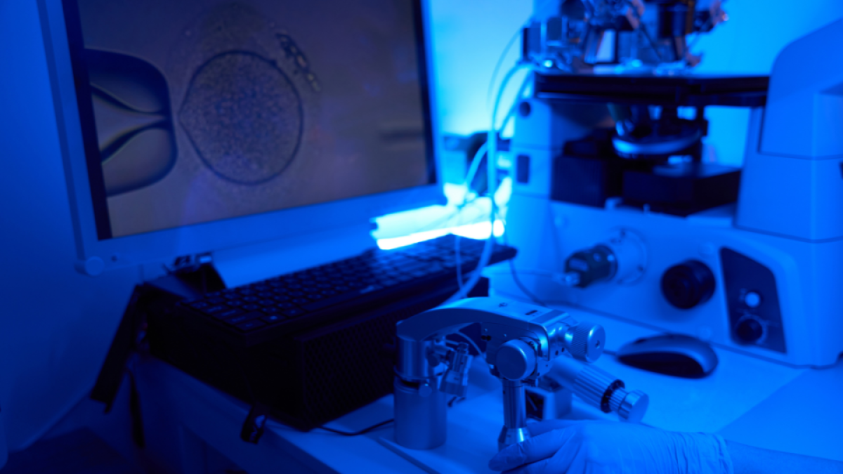 Assisted hatching com laser