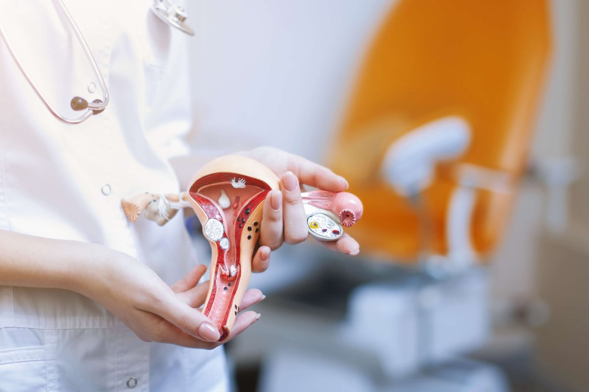 Coito programado para quem tem endometriose