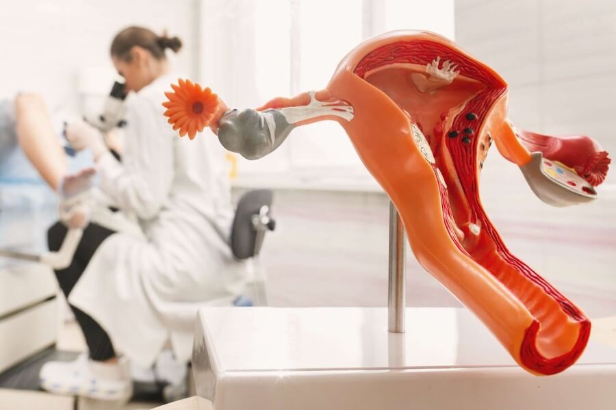 Análise endometrial