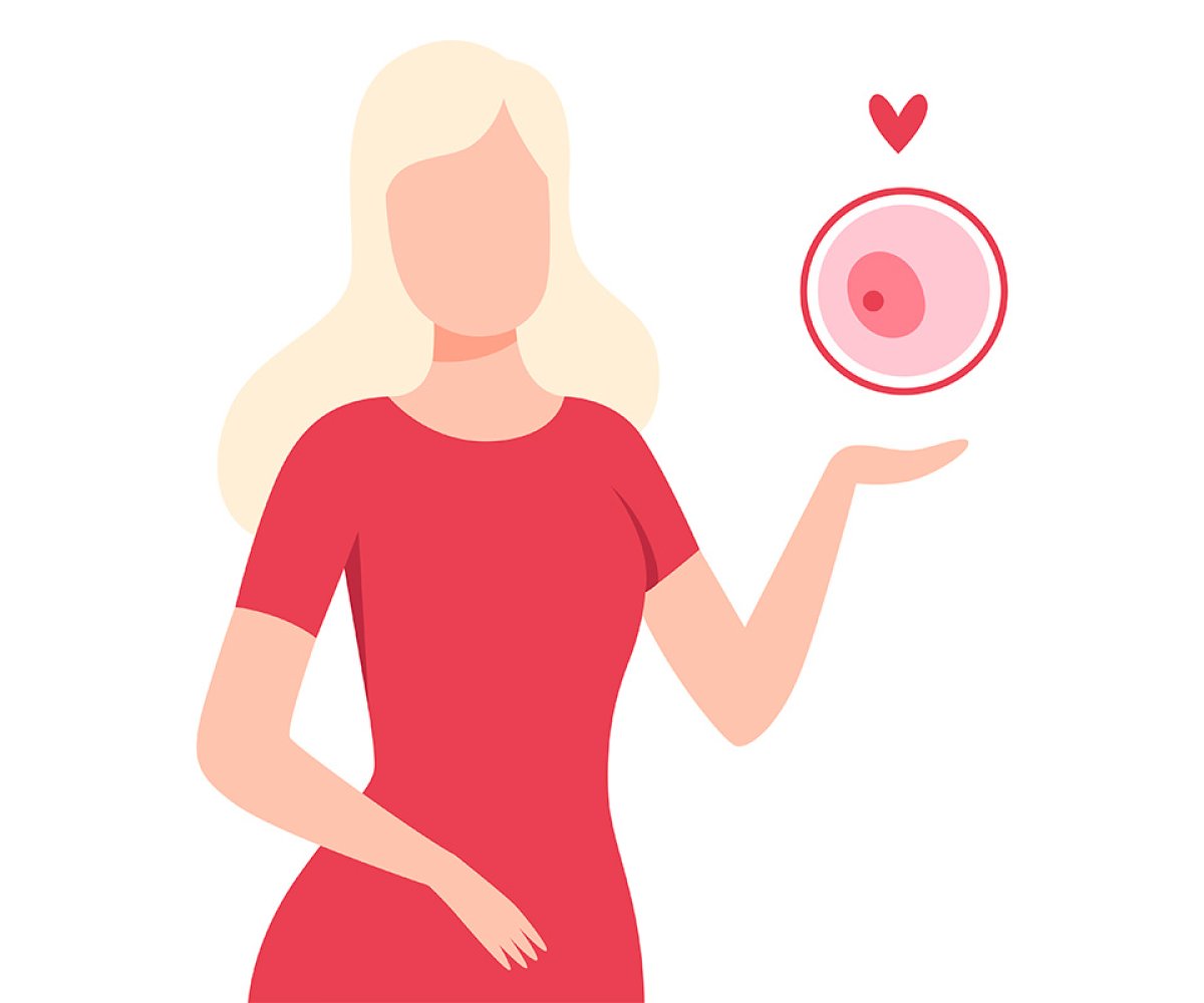 FIV com recepção de óvulos doados é eficiente como tratamento para engravidar na menopausa