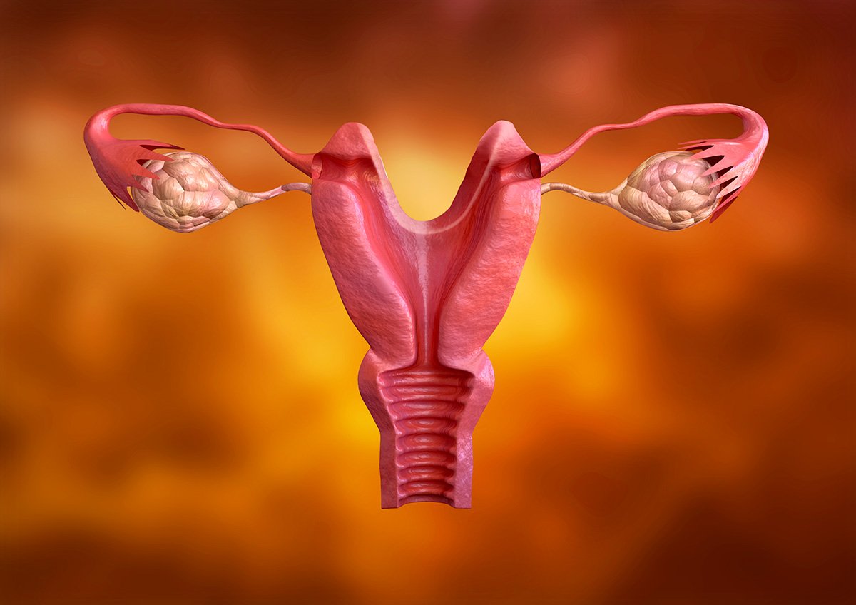 Malformações uterinas: saiba como pode trazer complicações na gravidez e o que fazer