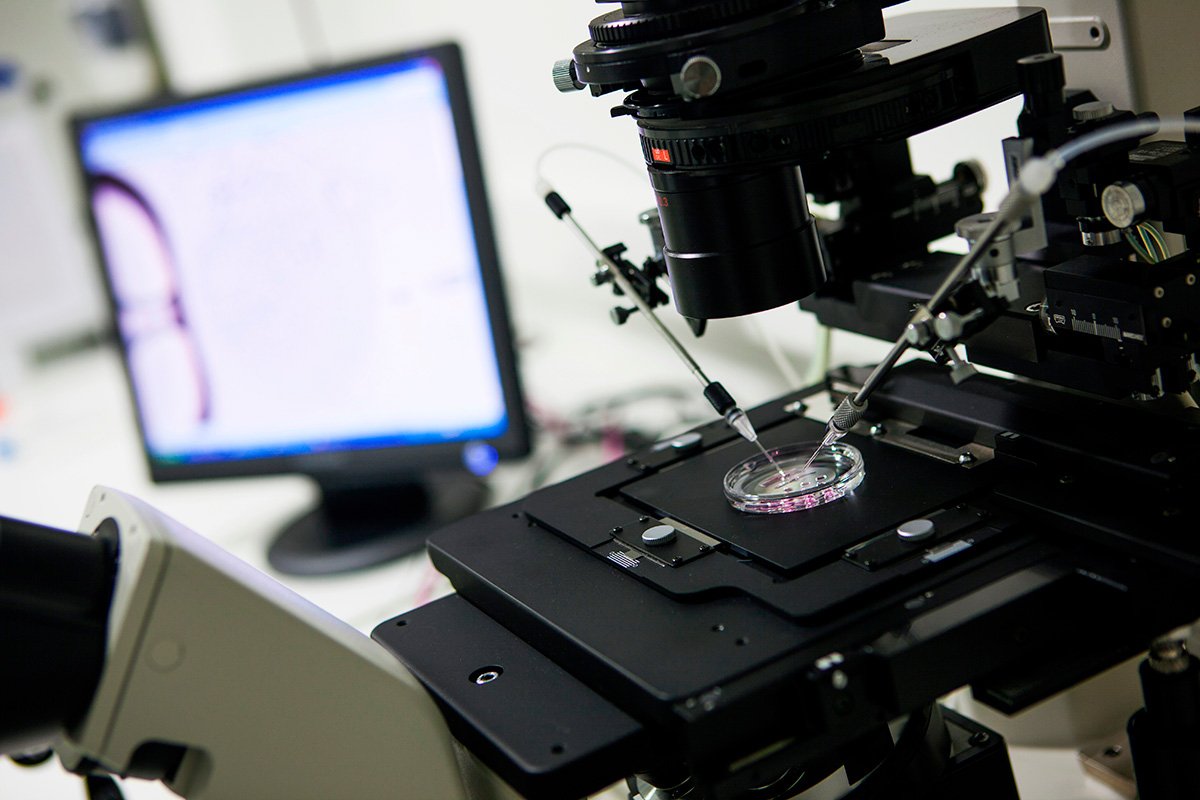 Micromanipulação de gametas para FIV