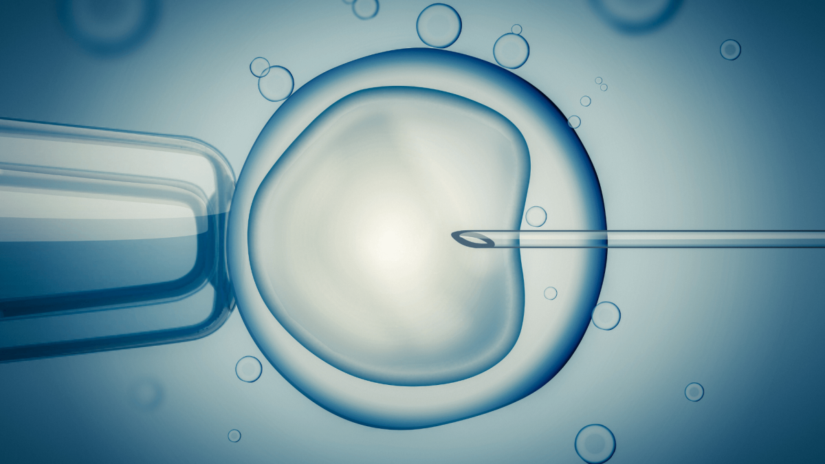 Fertilização in vitro minimamente invasiva