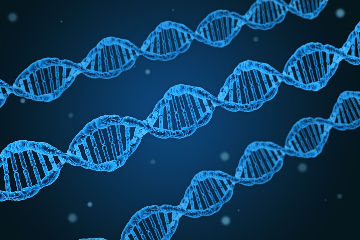 Pgd (diagnóstico genético pré-implantacional)